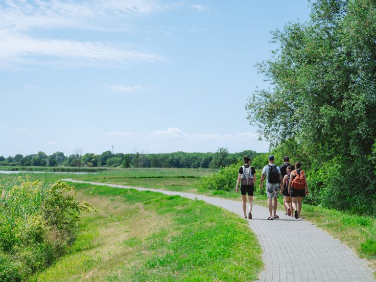 2606_Nele_Erdweg