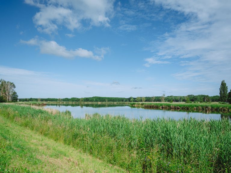 2606_Nele_Erdweg