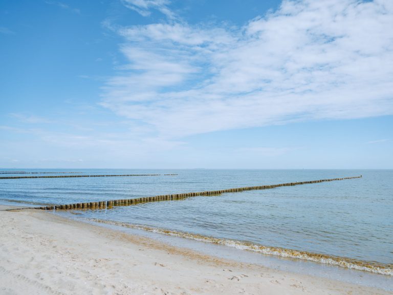 2606_Nele_Erdweg